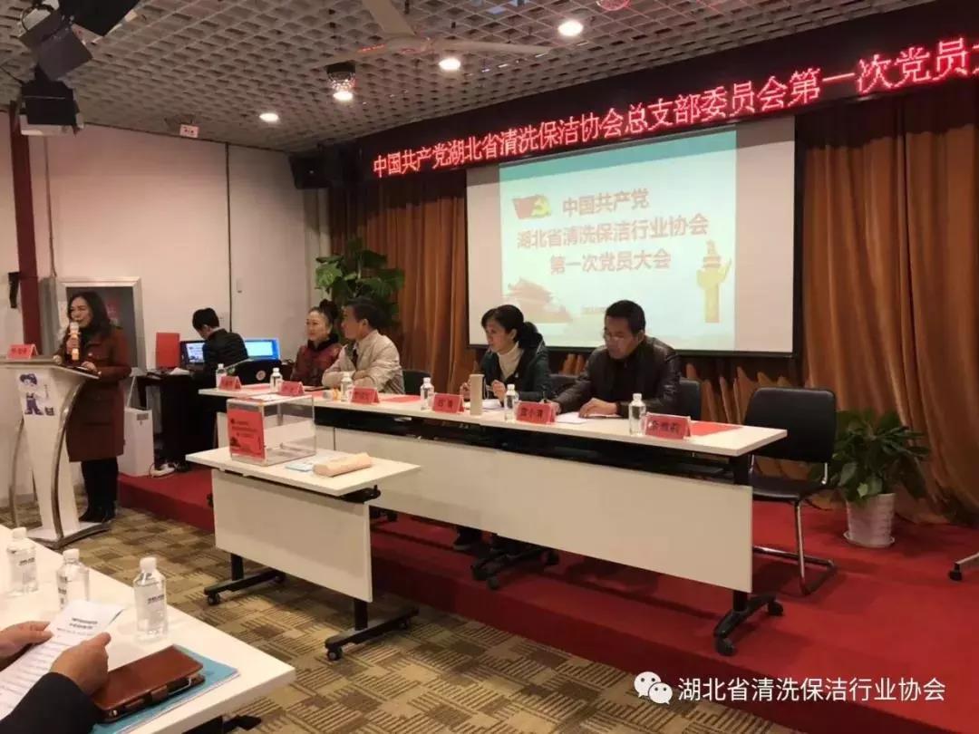 中共湖北省外墙清洗保洁行业协会